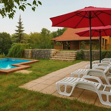 Felix With Spectacular Pool In Oasis Villa Opatija